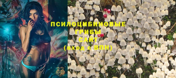меф Арсеньев